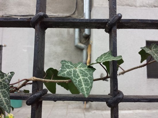 三星Galaxy S4对比iPhone 5 性能做工各具优势