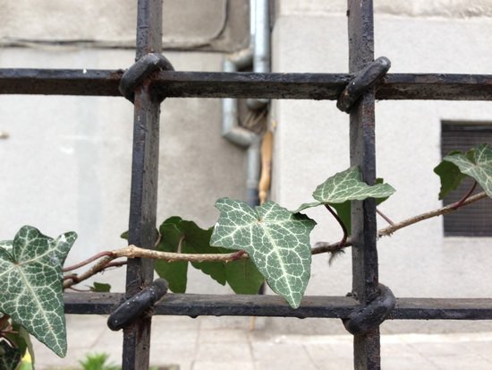 三星Galaxy S4对比iPhone 5 性能做工各具优势