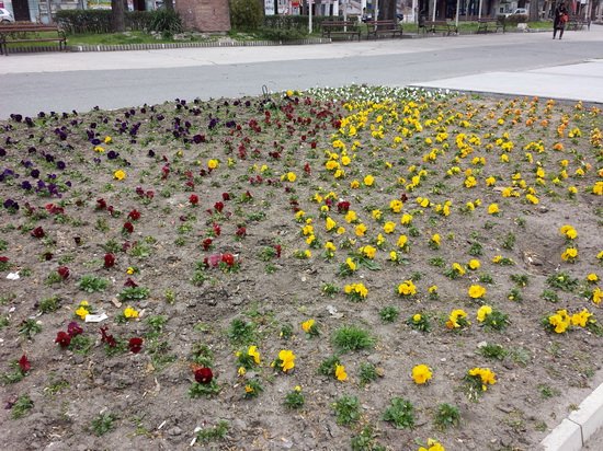 三星Galaxy S4对比iPhone 5 性能做工各具优势