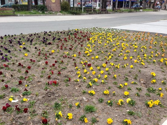 三星Galaxy S4对比iPhone 5 性能做工各具优势