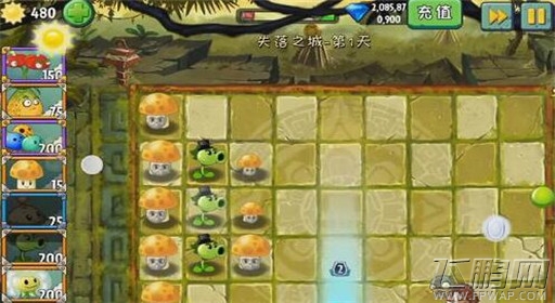 植物大战僵尸2失落之城第1关遗迹探险通关攻略 (3)