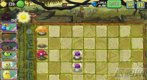 植物大战僵尸2失落之城第2关红针花初现通关攻略 (2)