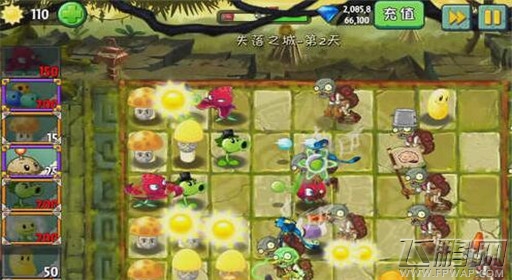 植物大战僵尸2失落之城第2关红针花初现通关攻略 (3)