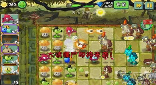 植物大战僵尸2失落之城第2关红针花初现通关攻略 (4)