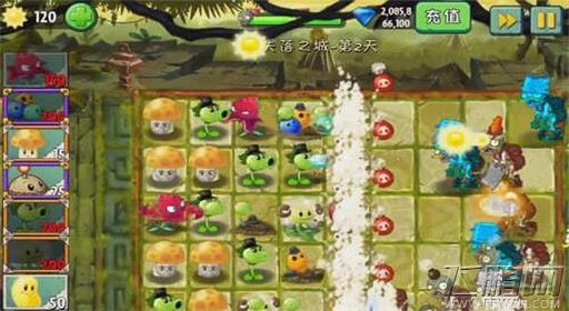 植物大战僵尸2失落之城第2关红针花初现通关攻略 (5)