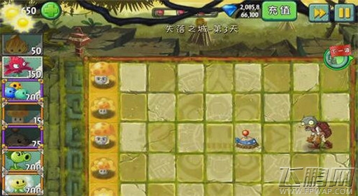 植物大战僵尸2失落之城第3关三叶草显神功通关攻略 (2)