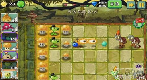 植物大战僵尸2失落之城第3关三叶草显神功通关攻略 (3)