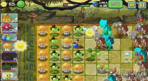 植物大战僵尸2失落之城第3关三叶草显神功通关攻略 (4)