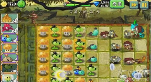 植物大战僵尸2失落之城第3关三叶草显神功通关攻略 (5)