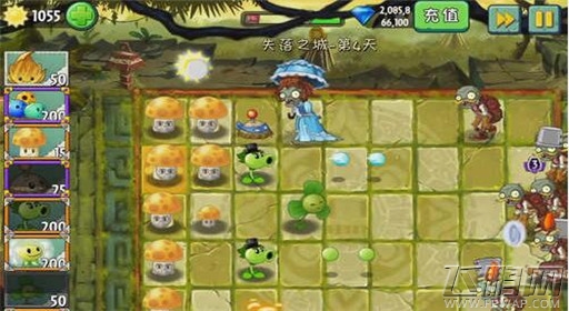 植物大战僵尸2失落之城第4关洋伞僵尸通关攻略 (3)