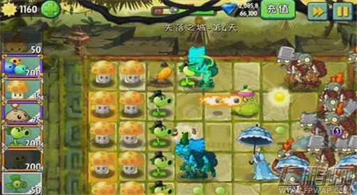 植物大战僵尸2失落之城第4关洋伞僵尸通关攻略 (4)