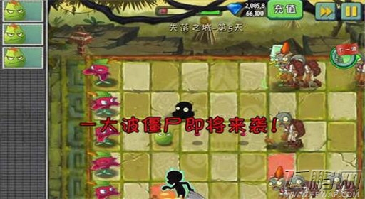 植物大战僵尸2失落之城第5关通关攻略 (3)