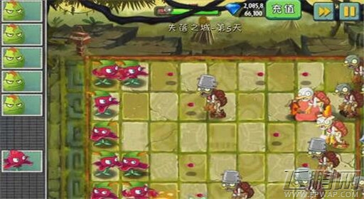 植物大战僵尸2失落之城第5关通关攻略 (4)