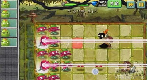 植物大战僵尸2失落之城第5关通关攻略 (5)