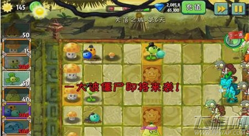 植物大战僵尸2失落之城第6关通关攻略 (2)