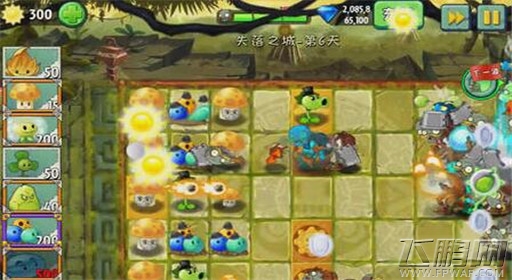 植物大战僵尸2失落之城第6关通关攻略 (3)