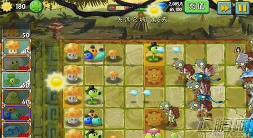 植物大战僵尸2失落之城第6关通关攻略 (4)