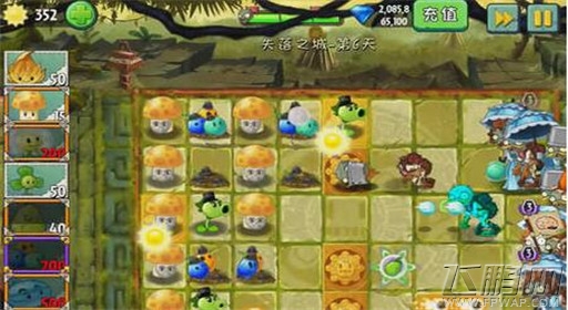植物大战僵尸2失落之城第6关通关攻略 (5)
