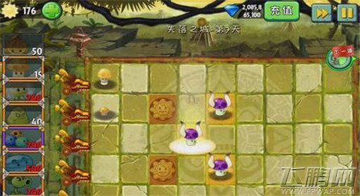 植物大战僵尸2失落之城第7关通关攻略 (2)