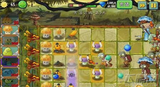 植物大战僵尸2失落之城第7关通关攻略 (3)