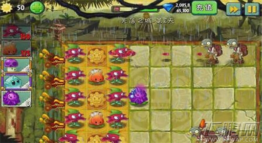 植物大战僵尸2失落之城第8关通关攻略 (3)