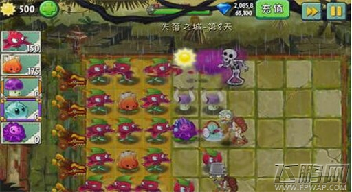 植物大战僵尸2失落之城第8关通关攻略 (5)