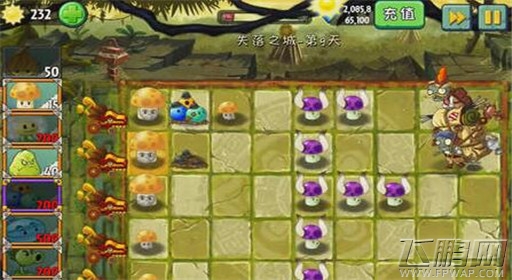 植物大战僵尸2失落之城第9关通关攻略 (3)