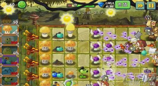 植物大战僵尸2失落之城第9关通关攻略 (4)
