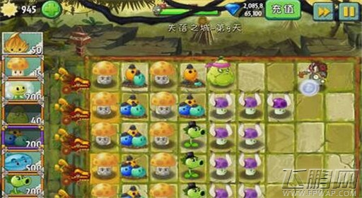 植物大战僵尸2失落之城第9关通关攻略 (5)