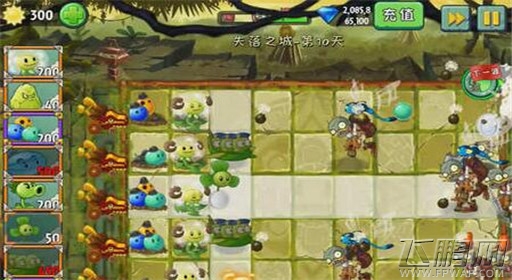 植物大战僵尸2失落之城第10关通关攻略 (3)
