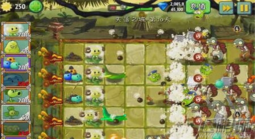 植物大战僵尸2失落之城第10关通关攻略 (4)