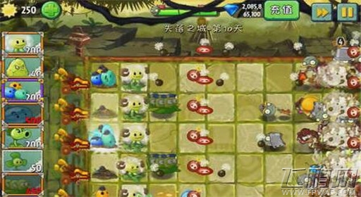 植物大战僵尸2失落之城第10关通关攻略 (5)