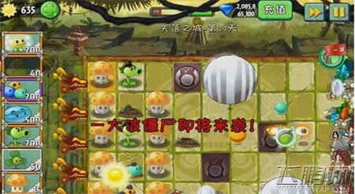 植物大战僵尸2失落之城第11关通关攻略 (3)