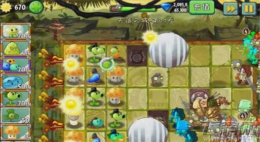 植物大战僵尸2失落之城第11关通关攻略 (4)