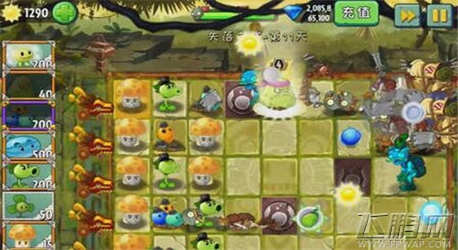 植物大战僵尸2失落之城第11关通关攻略 (5)