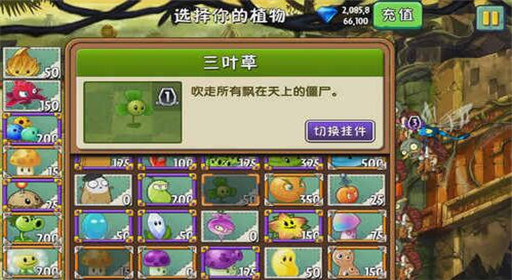 植物大战僵尸2失落之城第3关三叶草显神功通关攻略