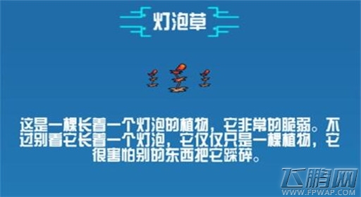 崩溃大陆灯泡草素材图鉴 (1)