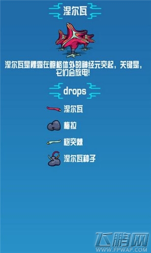 崩溃大陆涅尔瓦素材图鉴 (1)