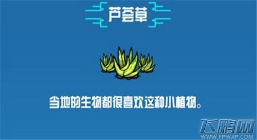 崩溃大陆扁芦荟草素材图鉴 (1)