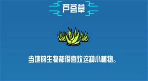 《崩溃大陆》芦荟草素材图鉴