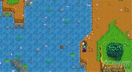 星露谷物语赌博玩法攻略 (1)