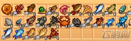 星露谷物语钓walleye方法解析 (1)