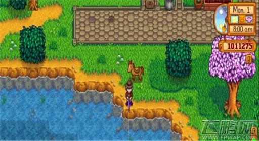 《星露谷物语》钓鱼地点及特殊鱼介绍 (2)