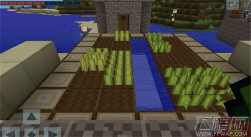 我的世界小麦种子获得方法解析 (1)