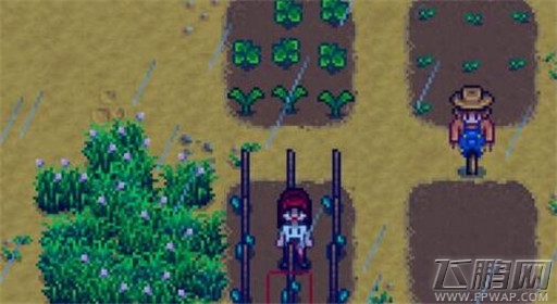 星露谷物语远古种子攻略 (1)