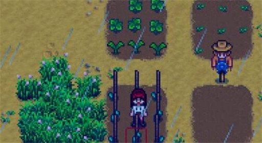 星露谷物语远古种子攻略