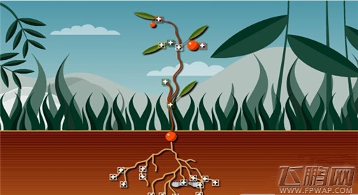 模拟植物野生植物玩法攻略 (1)