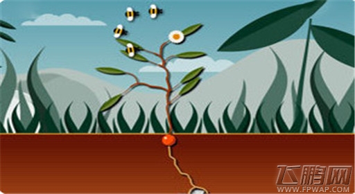 模拟植物生长攻略 (1)