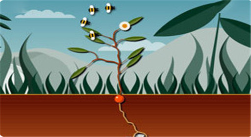 模拟植物生长攻略