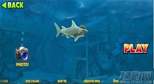 饥饿鲨进化绅士风装备介绍 (1) 饥饿鲨进化绅士风装备介绍 (1)